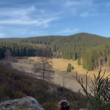 Eichenpanorama Appartamento *