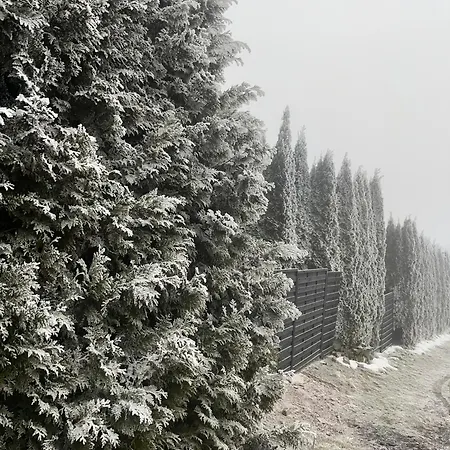 Apartment Eichenpanorama - Waldidylle Anspruchsvoll Geniessen