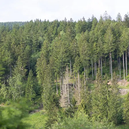 Eichenpanorama * Suhl