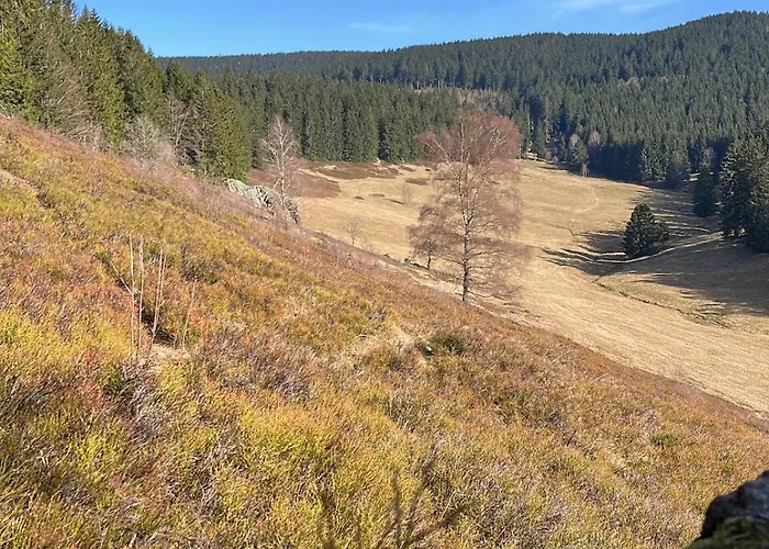 Apartment Eichenpanorama - Waldidylle Anspruchsvoll Geniessen Suhl
