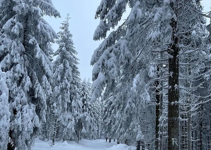 Eichenpanorama - Waldidylle Anspruchsvoll Geniessen Apartment *