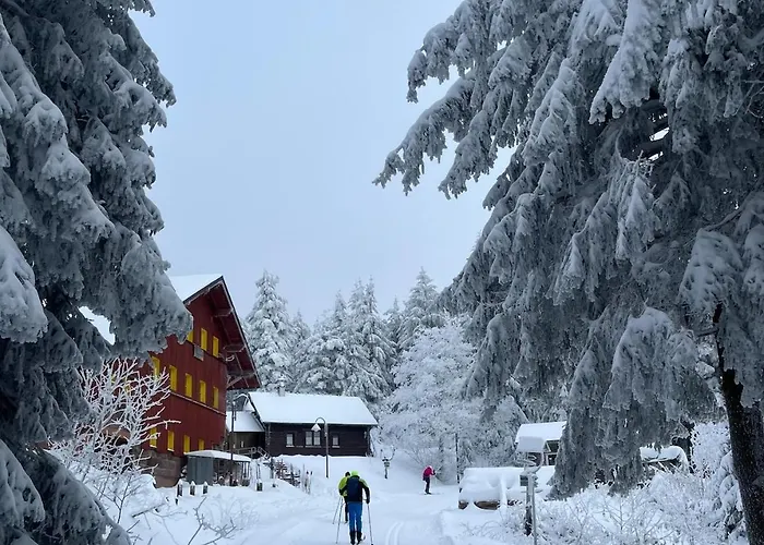 Apartment Eichenpanorama - Waldidylle Anspruchsvoll Geniessen