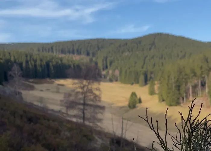 Eichenpanorama - Waldidylle Anspruchsvoll Geniessen Apartment *