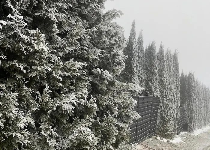 Apartment Eichenpanorama - Waldidylle Anspruchsvoll Geniessen