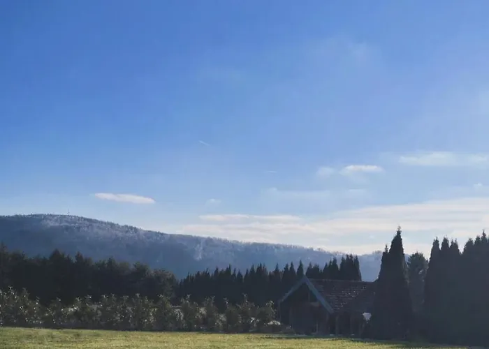 Eichenpanorama - Waldidylle Anspruchsvoll Geniessen Apartment Suhl